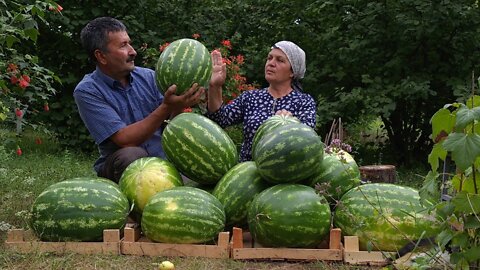 Canning Watermelon Juice For The Winter, Outdoor Cooking