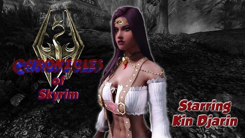 🕹 Chronicles of Skyrim #20🕹