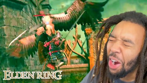 IM GETTING TERRORIZED BY BIRDS, GET ME OUT OF THIS CASTLE | Elden Ring