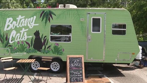 Mobile cat lounge hopes to end cat euthanasia in Polk County