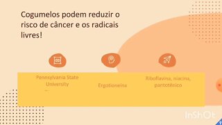 [pt. 4] Cogumelos aumentam a longevidade e a saúde no geral