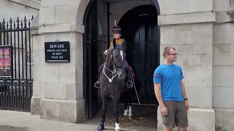 White horses #horseguardsparade