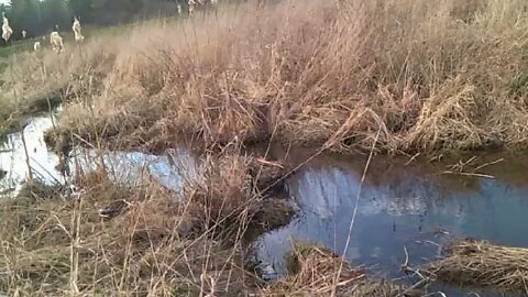 WATER meets the ROAD - Route 196 gets hit head on by Shine Hill & North Road WATERSHED!