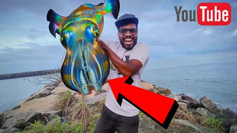 MOST VALUABLE VIDEO EVER, VILLAGE FISHERMEN CATCHING SQUIDS,OCTOPUS FISHES USING SWEET NET🔥🔥🔥🔥🔥🔥🔥🔥