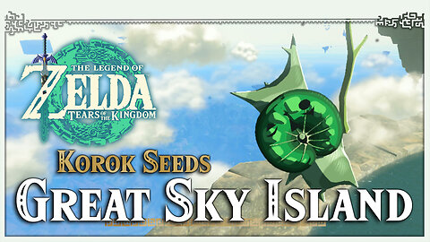 Great Sky Island Korok Seeds • Zelda Tears of the Kingdom TOTK