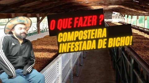 Como ELIMINAR BICHOS que aparecem na COMPOSTEIRA?