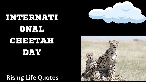 INTERNATIONAL CHEETAH DAY