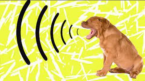 Dog Barking _ Sound Effect Hd