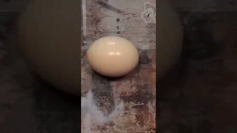 how to open eggs