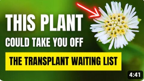 Treat Your Kidneys, Liver, and Diabetes with Just 1 Plant!