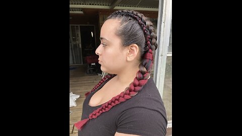 Viking Braids - Twin Dutch Braids with Color