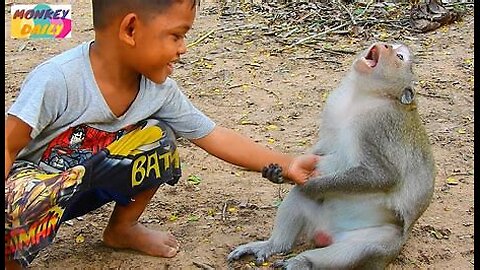 MONKEY WITH HUMAN