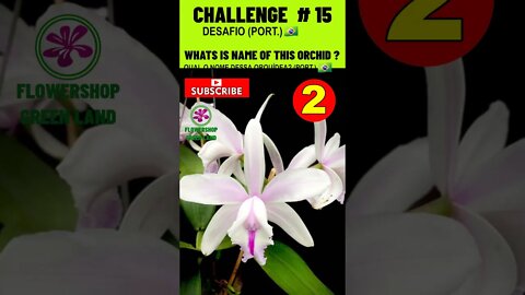 CHALLENGE # 15 |WHATS IS NAME OF THIS ORCHIDS?|YOU WANT TO LEARN? |# SHORT