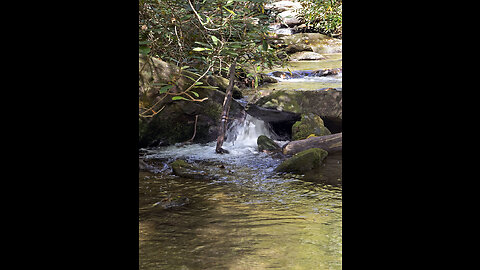 McCall Plantation on Lynches Creek in South Carolina