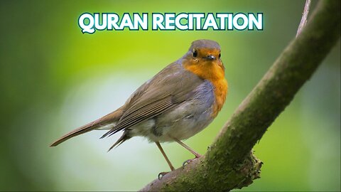 Quran