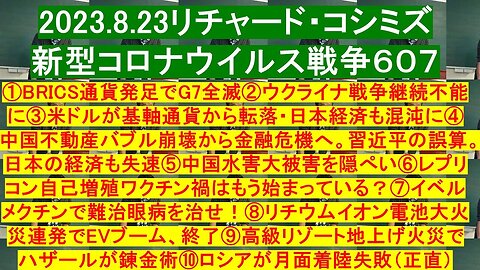 2023.08.23 リチャード・コシミズ新型コロナウイルス戦争６０７