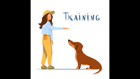 basic dog training