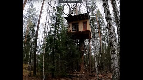 BUILT A TREE HOUSE WITH MY OWN HANDS - WALLS, ROOF, WINDOW and DOOR