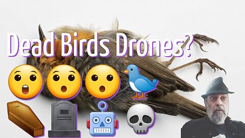 Scientists Turn Dead Bird Into Spybot. 😲😯😮🐦⚰🪦🤖💀