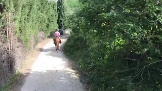 Rhonda, Spain Horseback Riding 2017