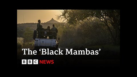 South Africa’s ‘Black Mamba’ anti-poaching unit | BBC News