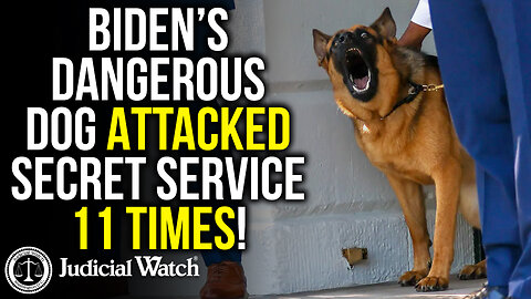 Biden’s Dangerous Dog ATTACKED Secret Service 11 Times!