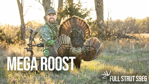 Monster Turkey Roost Hunt!! (Full Strut S9E6 - Mega Roost)