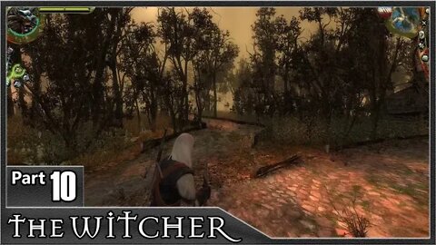 The Witcher 1, Part 10 / Clay Pits, Worth it's Weight in Gold, Vincent Meis Warehouse