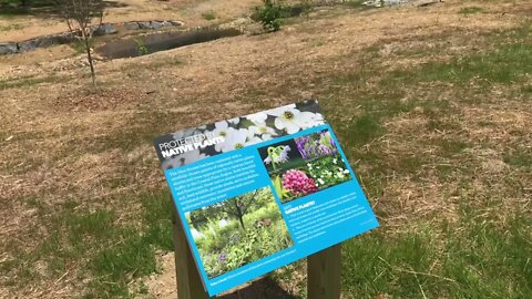 Restoring A Stream Bed With Native Plans | Lewis Ginger Botanical Garden