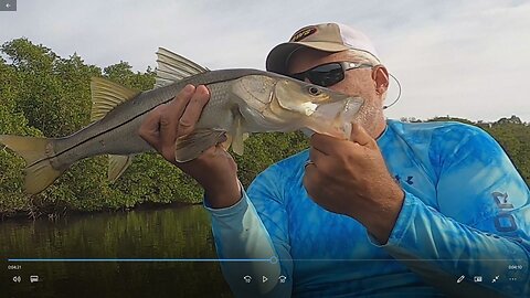 Urban Backwaters 003, Everyone was Hungry Today!