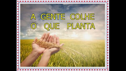 Lei do Plantar e Colher! A Lei da Semeadura! Realidade ou Besteira?