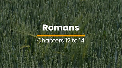 Romans 12, 13, & 14 - November 11 (Day 315)