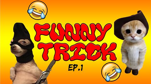 Funny Animall EP 1!!!