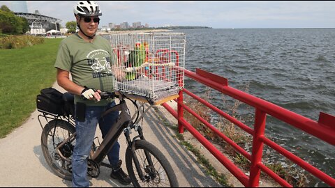 The New Berlin 'bird guy' has a new parrot on his bike