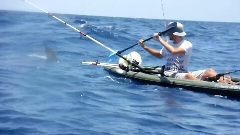 Hammerhead Shark Attacks Kayak Fishermen at Pompano Beach