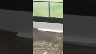 Chuva de Granizo em São Januário