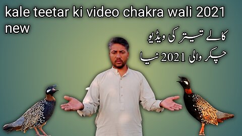 kale teetar ki video chakra wali 2021 new 🕊