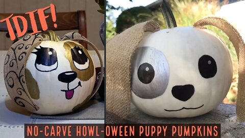 DIY No-Carve Howl-oween Puppy Pumpkin