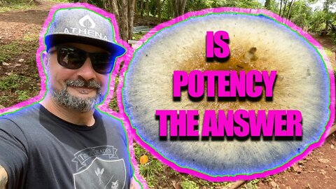 MY IDEA OF THE PERFECT PSILOCYBE CUBENSIS MUSHROOM (Is potency the answer?!) BIG GIVEAWAY DETAILS!!!