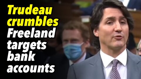 Trudeau crumbles. Freeland targets bank accounts