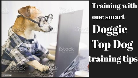 Training with one smart Doggie(Top Dog training tips