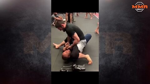 Khabib trying to make Daniel Cormier tap