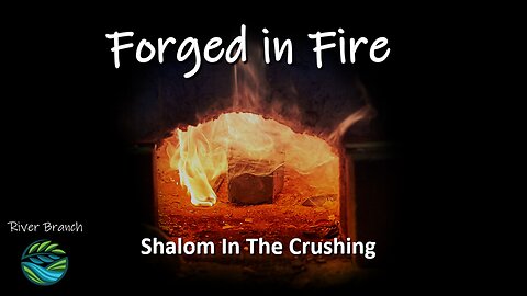 Forged in Fire - Shalom in The Crushing