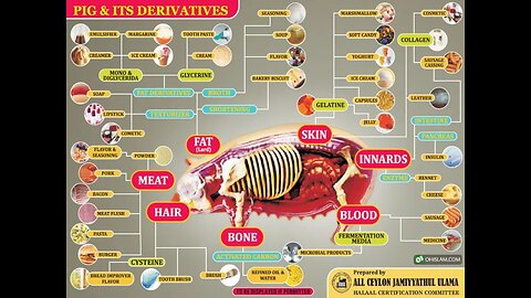 UNEXPECTED FOODS & PRODUCTS THAT CONTAIN PIG: A LONG LIST OF FOODS & CANDY THAT CONTAIN PORK, GELATIN…”Of their flesh shall ye not eat & their carcase shall ye not touch”🕎Ezekiel 39,23-29 “THE HOUSE OF ISRAEL”