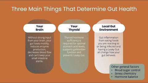 Sample Lesson: 5 Step Gut Program