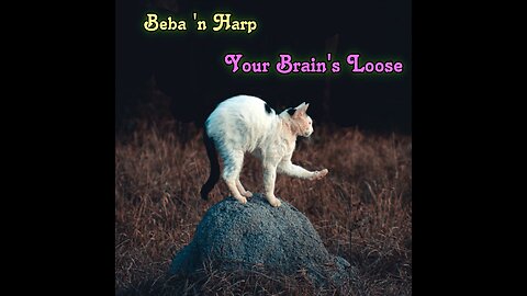 Song: Your Brain's Loose by Beba 'n Harp