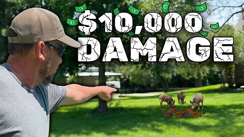 🤯$10,000k IN HOG DAMAGE!! | Land & Crop Protection