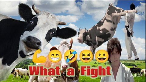 Big Fight Men vs cow it's so funny 🤣🤣