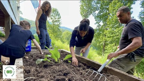 What a Permaculture Harvest Looks Like // 2022