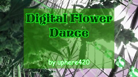 Digital Flower Dance by uphere420